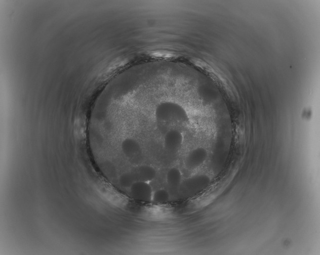 X0000097630561200803142027