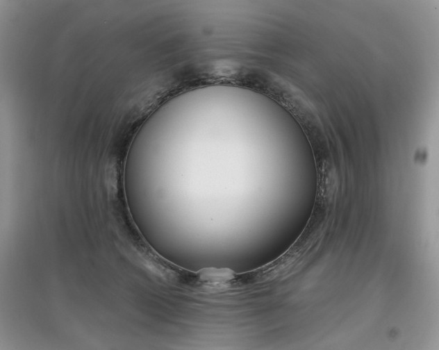 X0000097630562200803142027