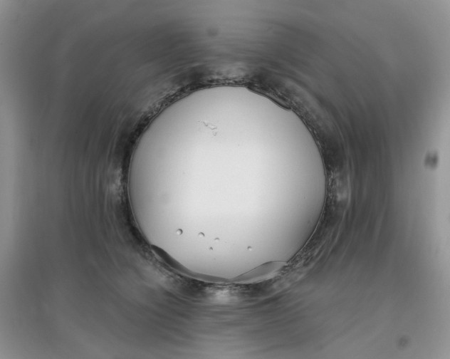 X0000097630564200803142027