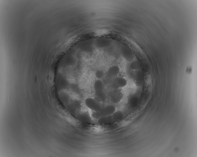 X0000097630565200803142027