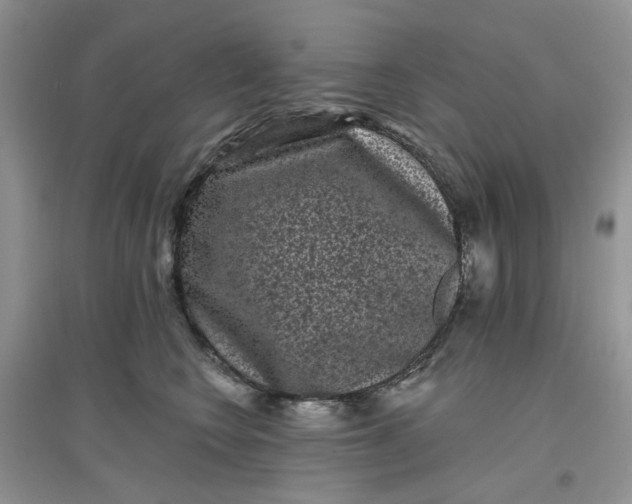 X0000097630566200803142027