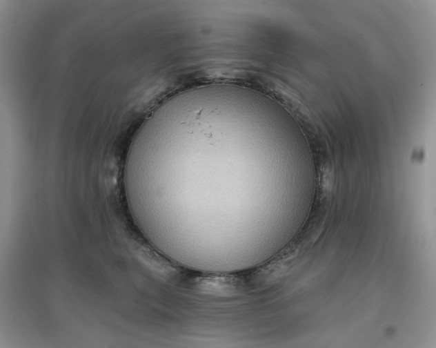 X0000097630567200803142027