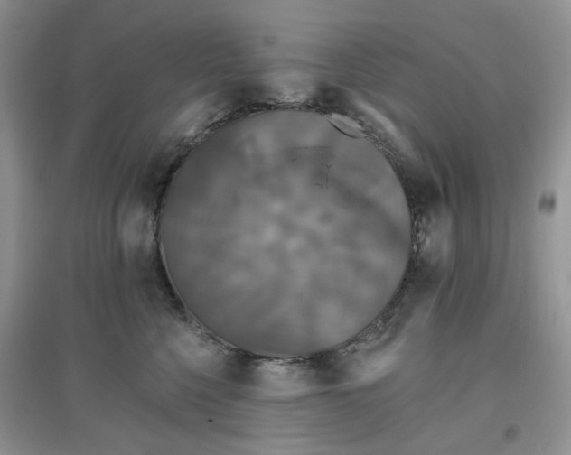 X0000097630568200803142027