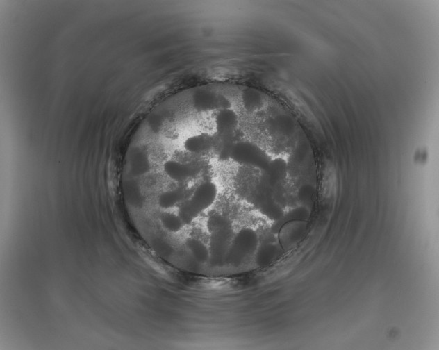 X0000097630569200803142027