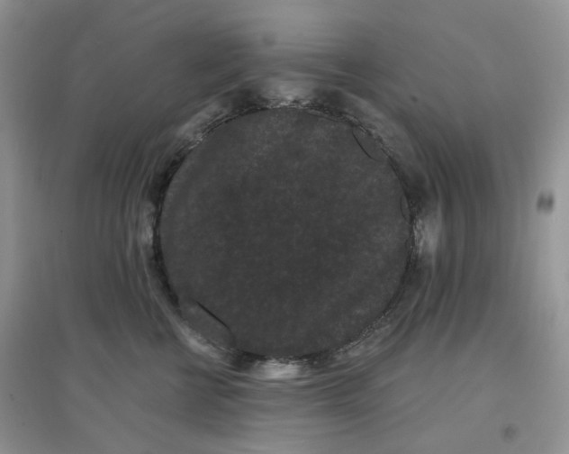 X0000097630570200803142027