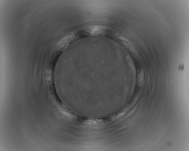 X0000097630571200803142027