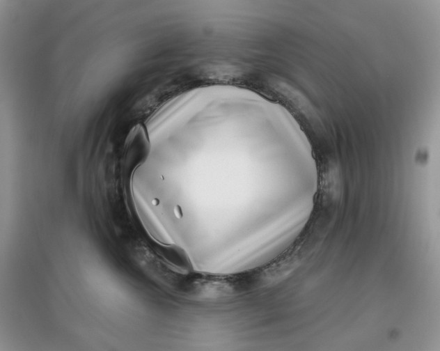 X0000097630572200803142027