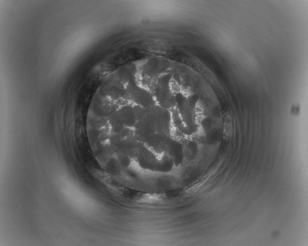 X0000097630573200803142027