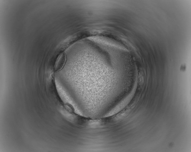 X0000097630574200803142027