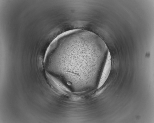 X0000097630575200803142027