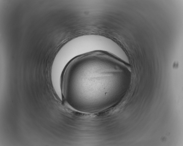 X0000097630576200803142027