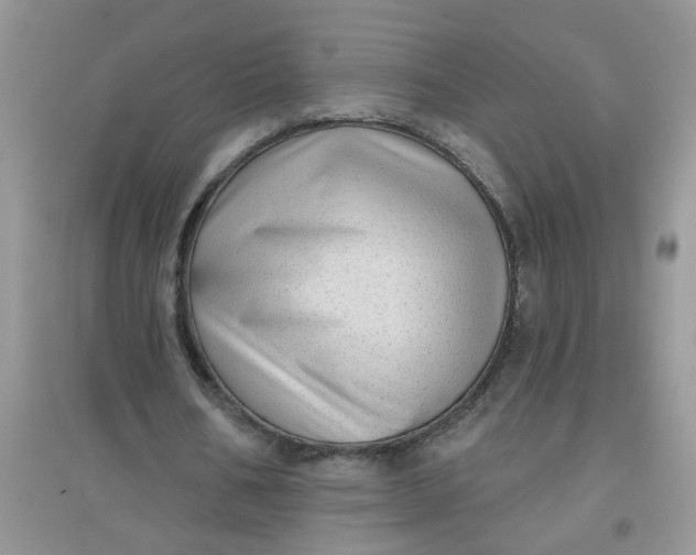 X0000097630578200803142026