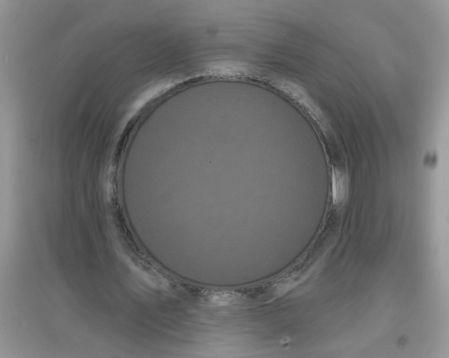 X0000097630579200803142026