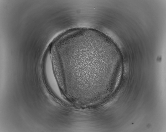 X0000097630580200803142026