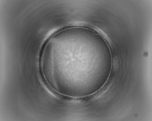 X0000097630581200803142026