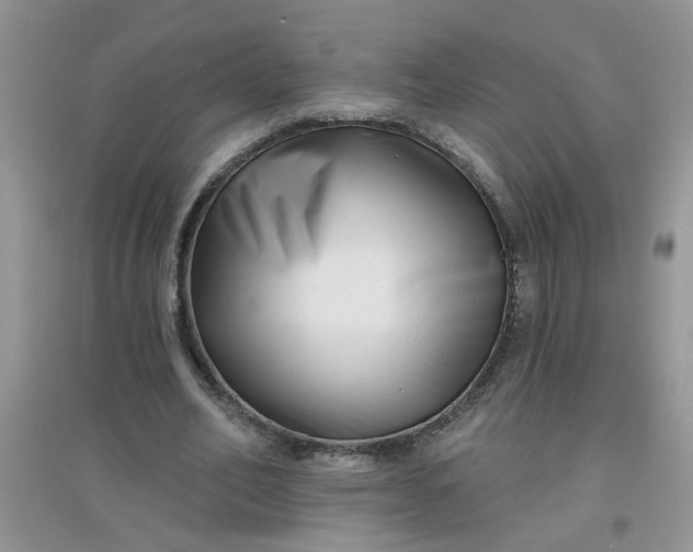 X0000097630582200803142026