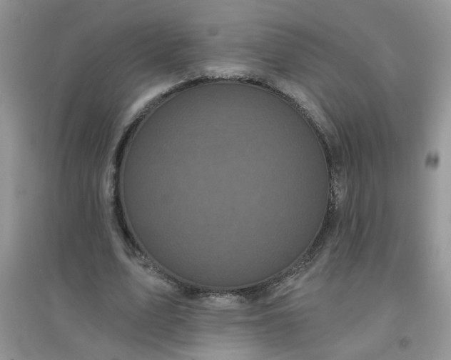 X0000097630583200803142026