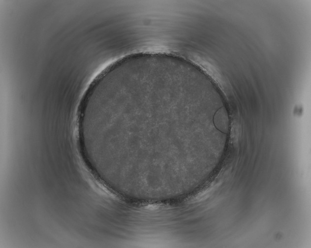 X0000097630584200803142026