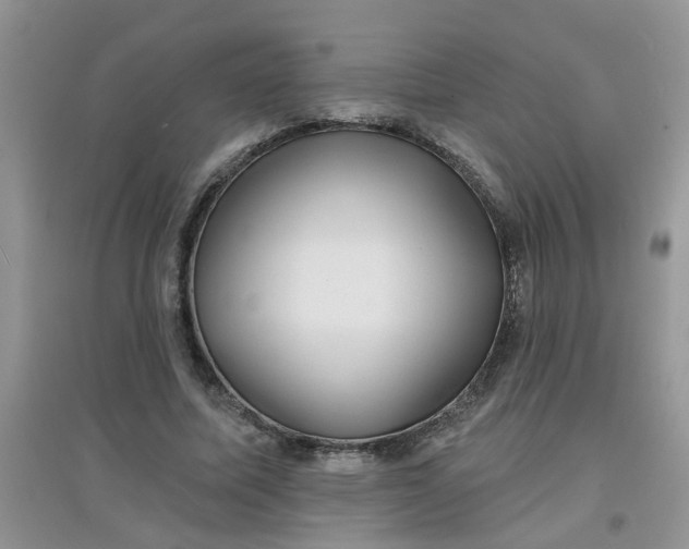 X0000097630587200803142026