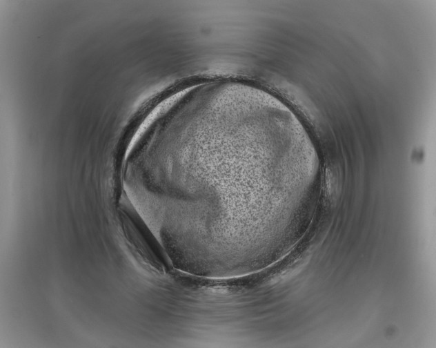 X0000097630588200803142026