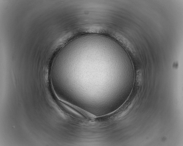 X0000097630589200803142026