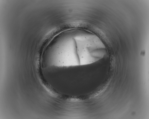 X0000097630590200803142026