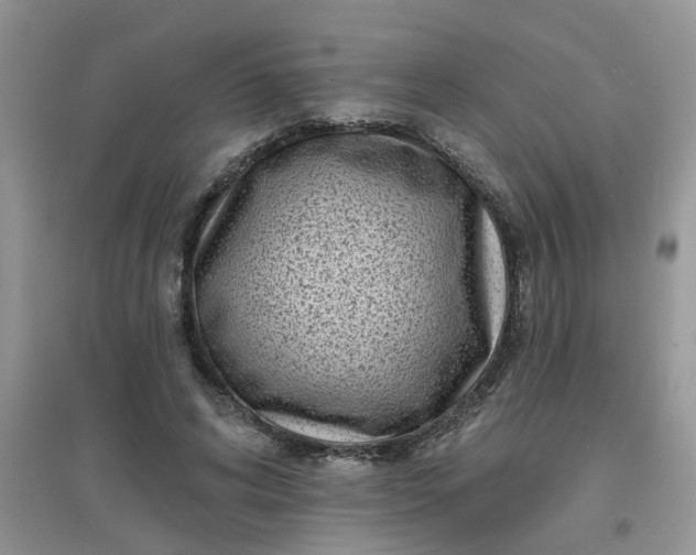 X0000097630592200803142026