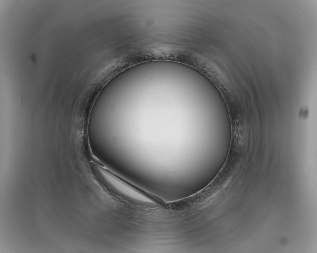 X0000097630593200803142026