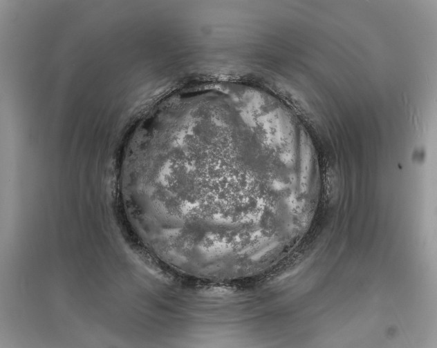 X0000097630594200803142026