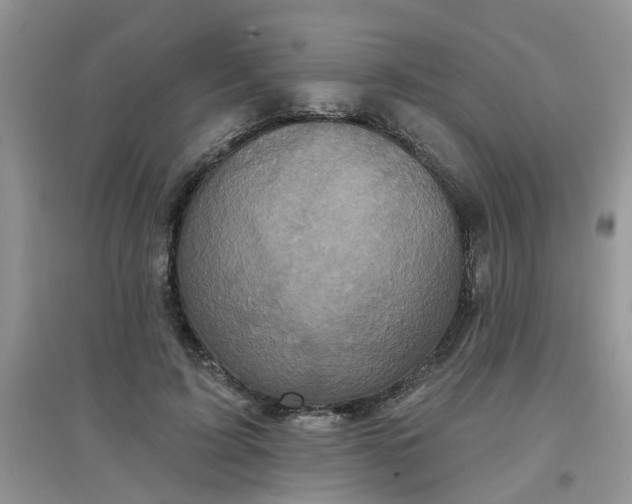 X0000097630595200803142026