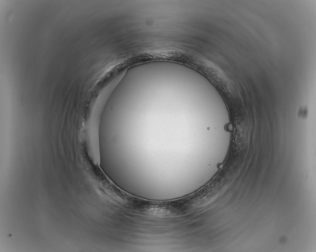 X0000097630596200803142026