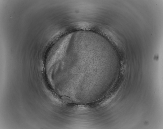 X0000097630597200803142026