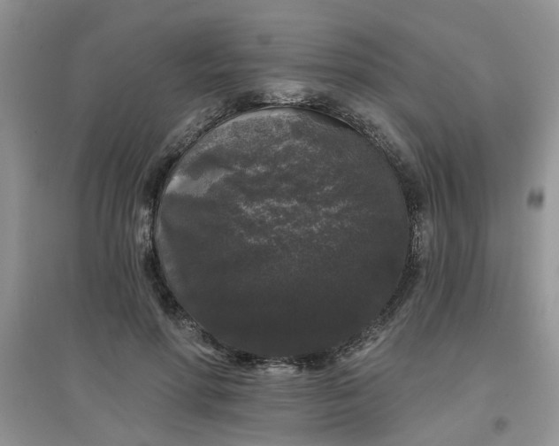 X0000097630598200803142026