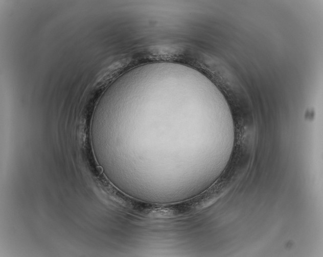 X0000097630599200803142026