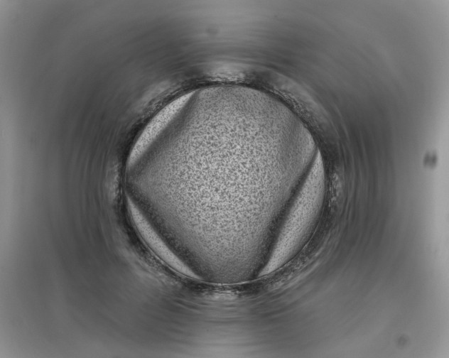 X0000097630600200803142026