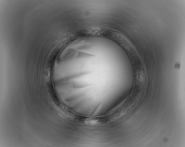 X0000097630602200803142026