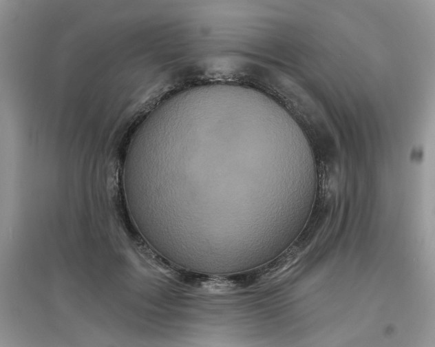 X0000097630603200803142026