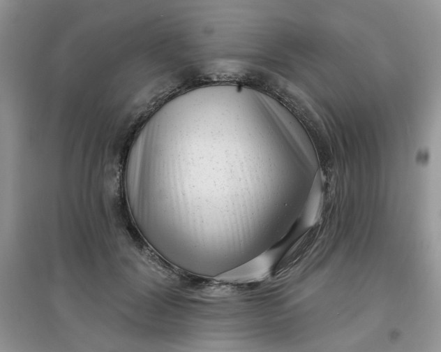 X0000097630604200803142026