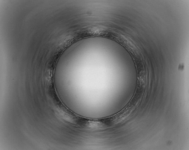 X0000097630605200803142026