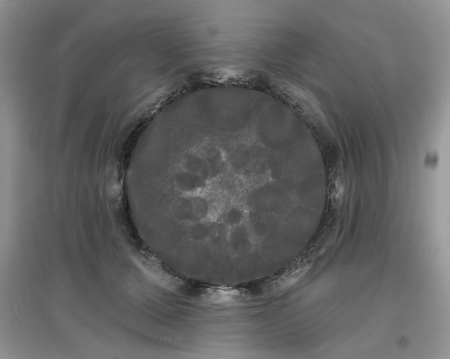 X0000097630607200803142026