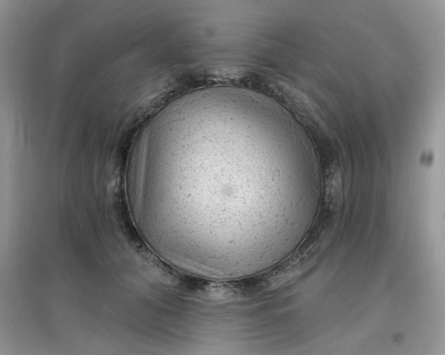 X0000097630608200803142026