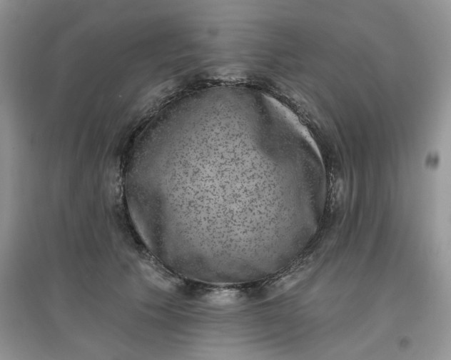 X0000097630609200803142026