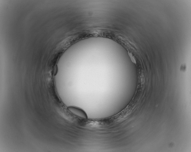 X0000097630611200803142026