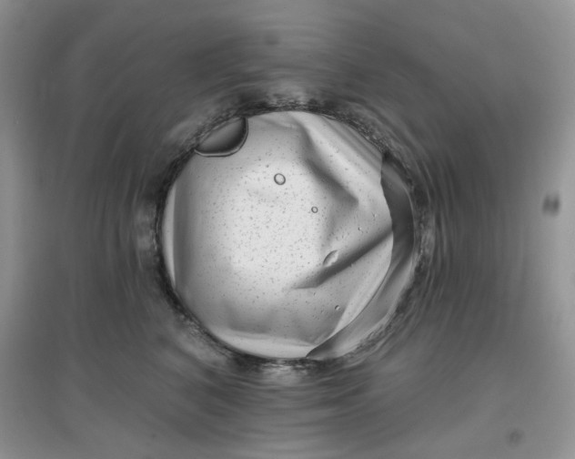 X0000097630616200803142026