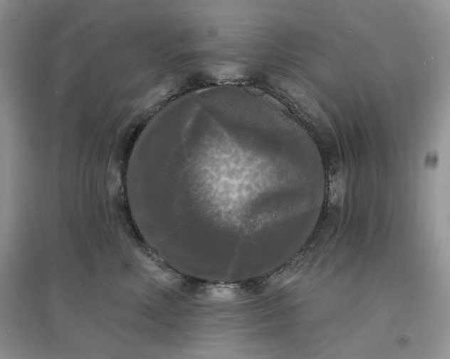 X0000097630618200803142026