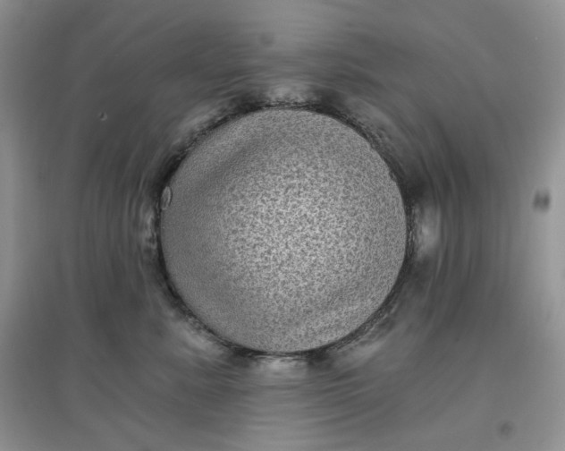 X0000097630619200803142026