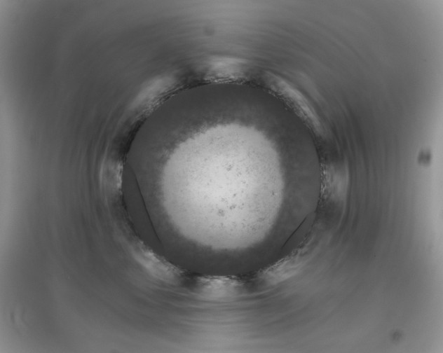 X0000097630621200803142026