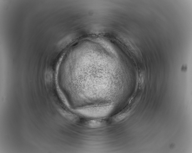 X0000097630623200803142026