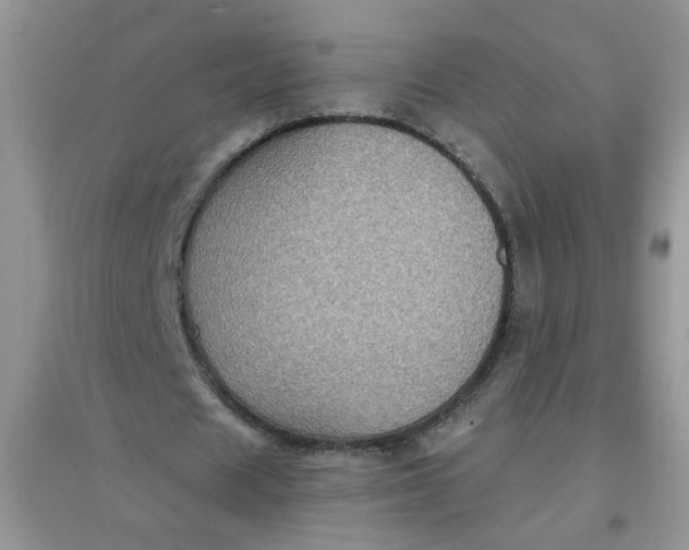 X0000097630625200803142025