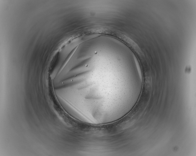 X0000097630626200803142025